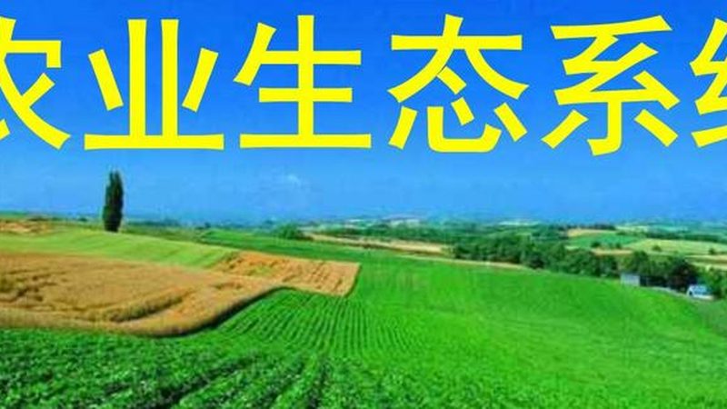 智慧农业种植系统：开启精准农业新时代