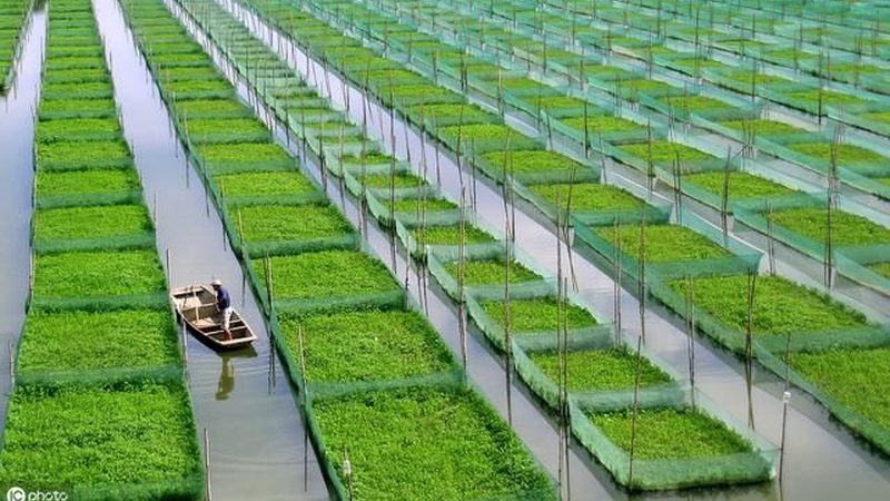 昆明农业种植技术培训学校排名：如何选择适合自己的培训课程