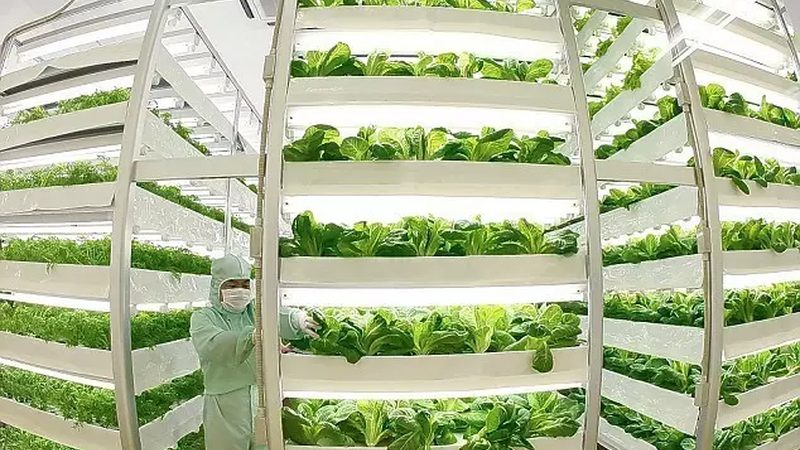 如何从细节判断农业种植公司的靠谱程度**