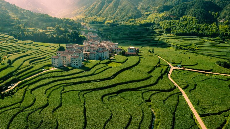 休闲农业与乡村旅游：本质区别与融合趋势