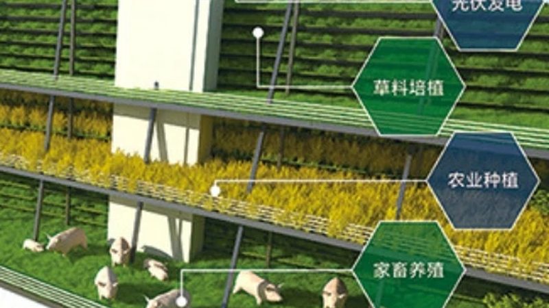 休闲农业有机种植，这些注意事项你了解吗？**