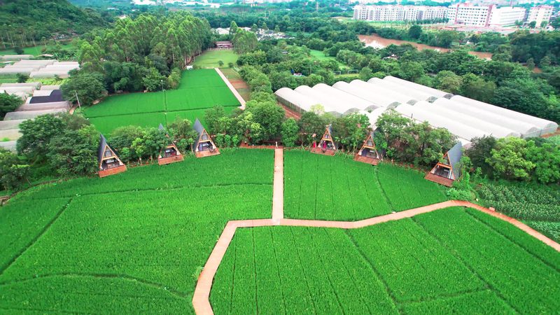 小标题：定制方案的必要性