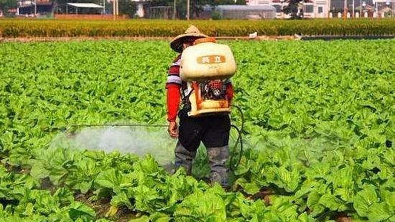 农用无人机打药，价格与价值如何衡量？**