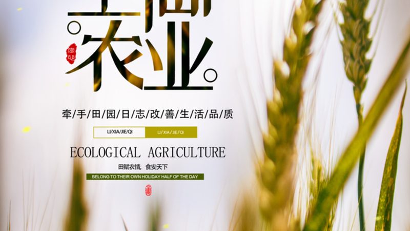 生鲜配送系统十大品牌